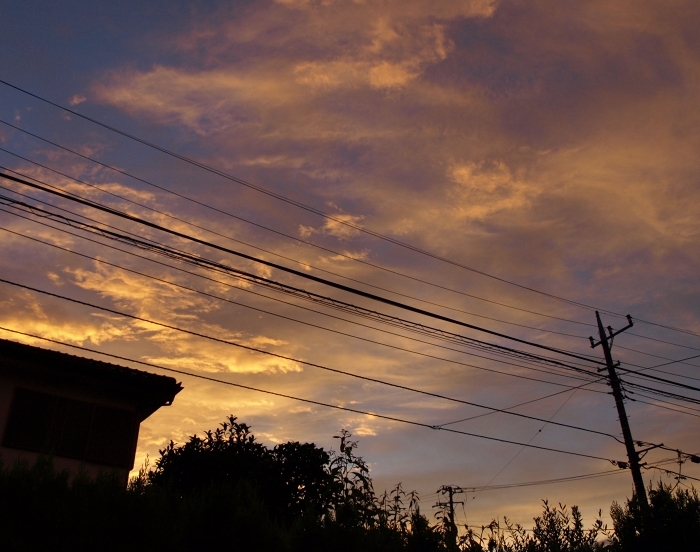 c0281841_14222623.jpg