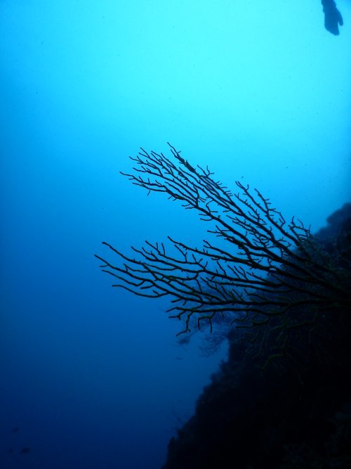 d0142944_00030309.jpg