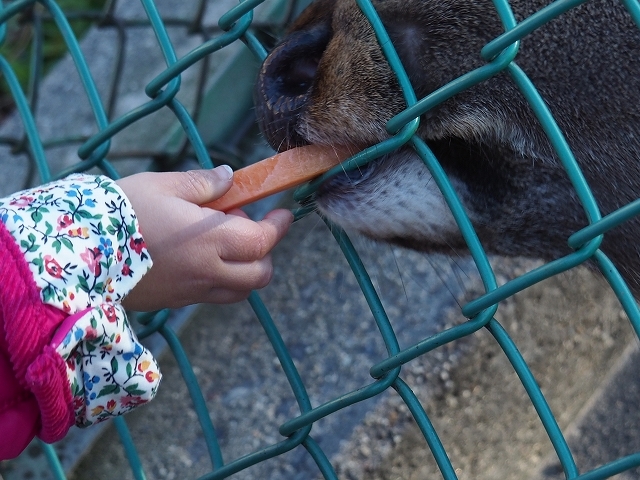 小さな動物園_f0288049_21205093.jpg