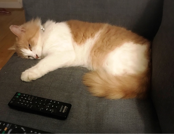 f0304452_02352673.jpeg