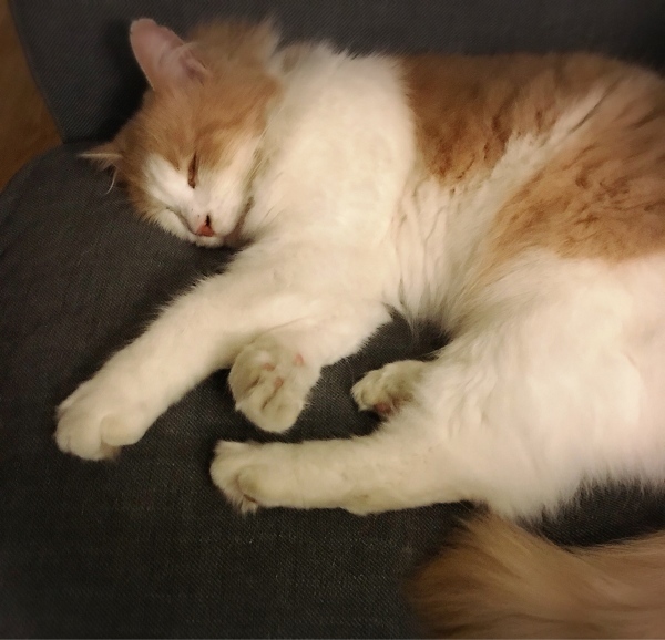 f0304452_02363604.jpeg