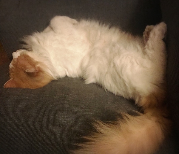 f0304452_03172258.jpeg
