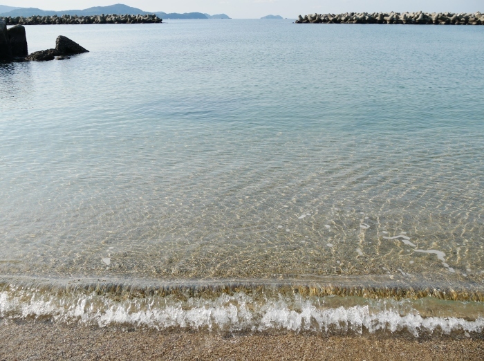 　　和歌の浦 片男波　　２０１７-１２-２９　００：００_b0093754_22320435.jpg