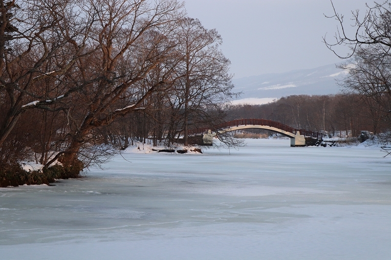 b0250154_21130811.jpg