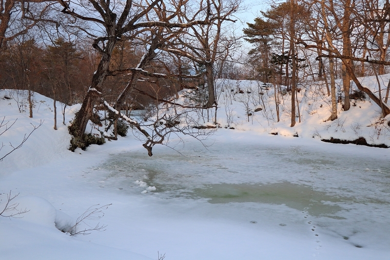 b0250154_21133799.jpg