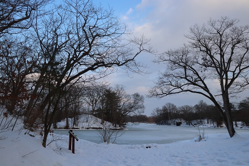 b0250154_21151337.jpg
