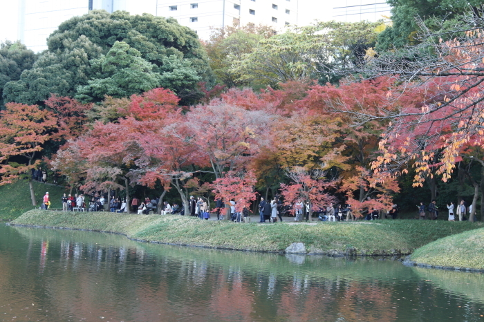 小石川後楽園へ～秋の紅葉狩りへ　６_d0152261_10200959.jpg