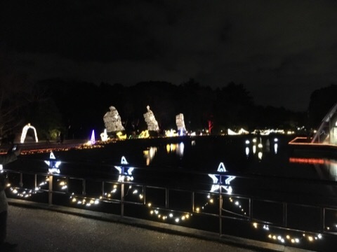 府立植物園 イルミネーション_f0363168_04401871.jpg