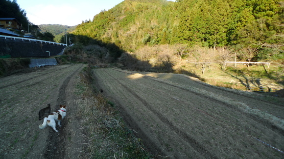 c0212083_20451502.jpg