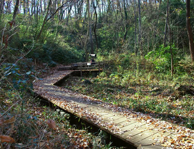 b0123486_08331338.jpg