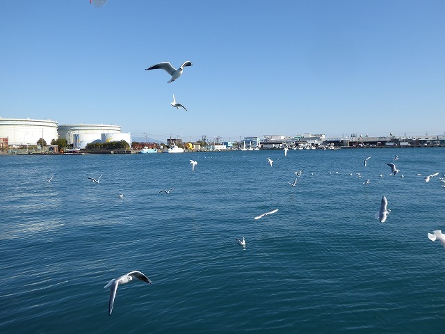 b0287088_17122270.jpg