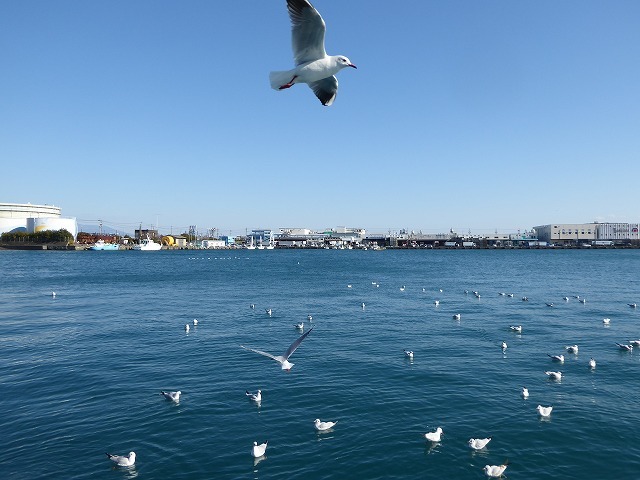 b0287088_17124724.jpg