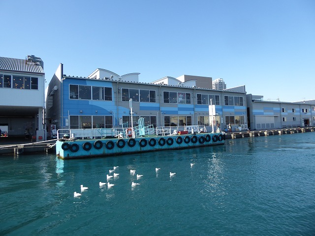 b0287088_17134008.jpg