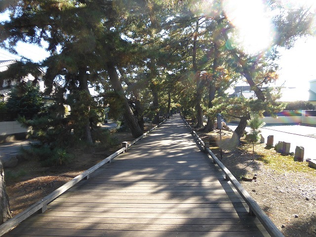 b0287088_17191170.jpg