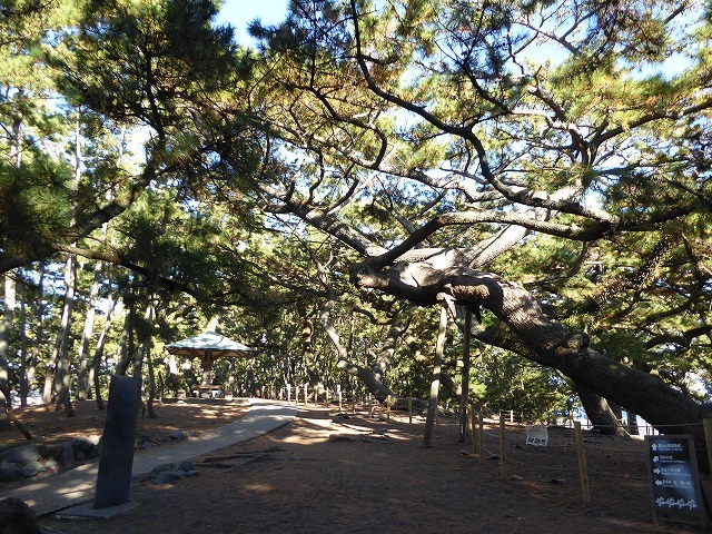 b0287088_17242080.jpg