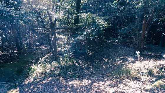 e0176993_07361312.jpg