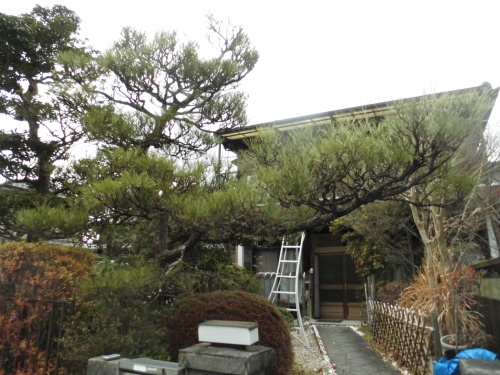 c0108198_17295997.jpg