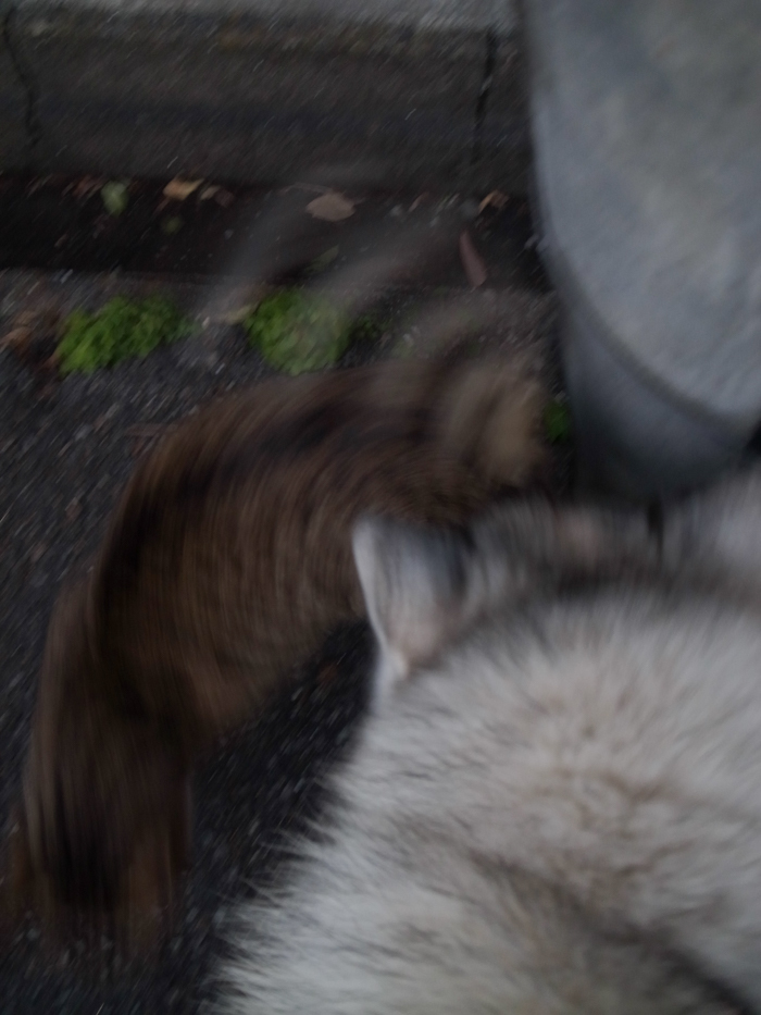 c0049299_21413084.jpg