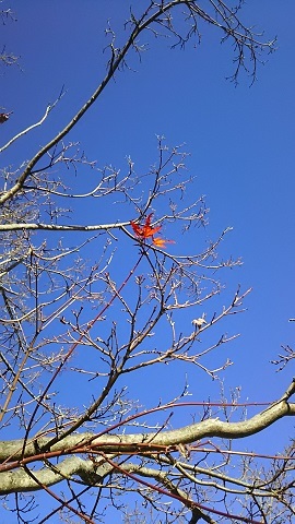f0242002_20163630.jpg