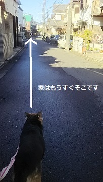 f0242002_20172529.jpg