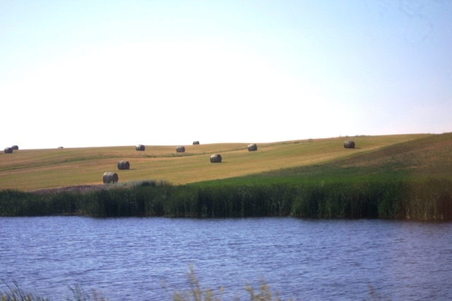 c0062603_21032315.jpg