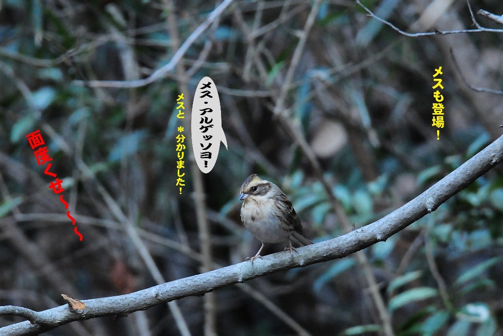 寒い寒いで一日が終わっちゃうよ！_e0309106_09001830.jpg