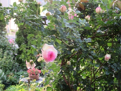 f0325309_13334243.jpg