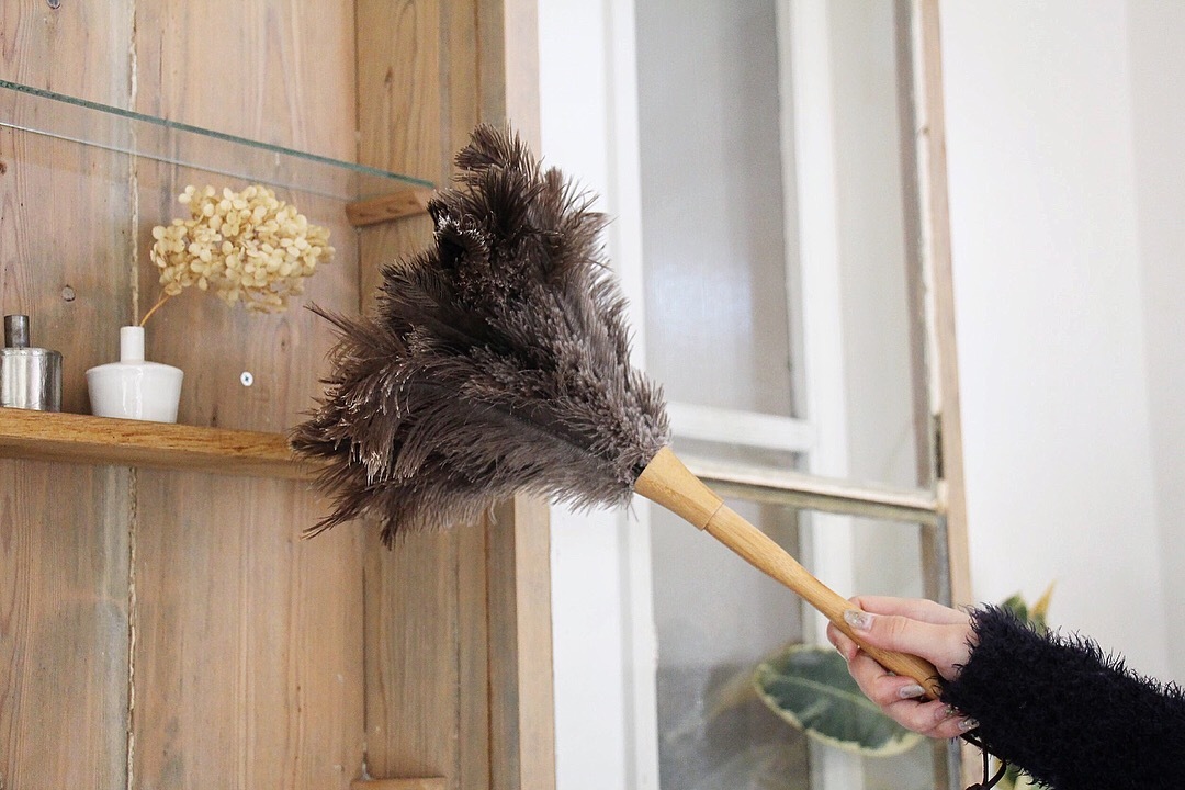 feather duster_b0165512_19293202.jpeg