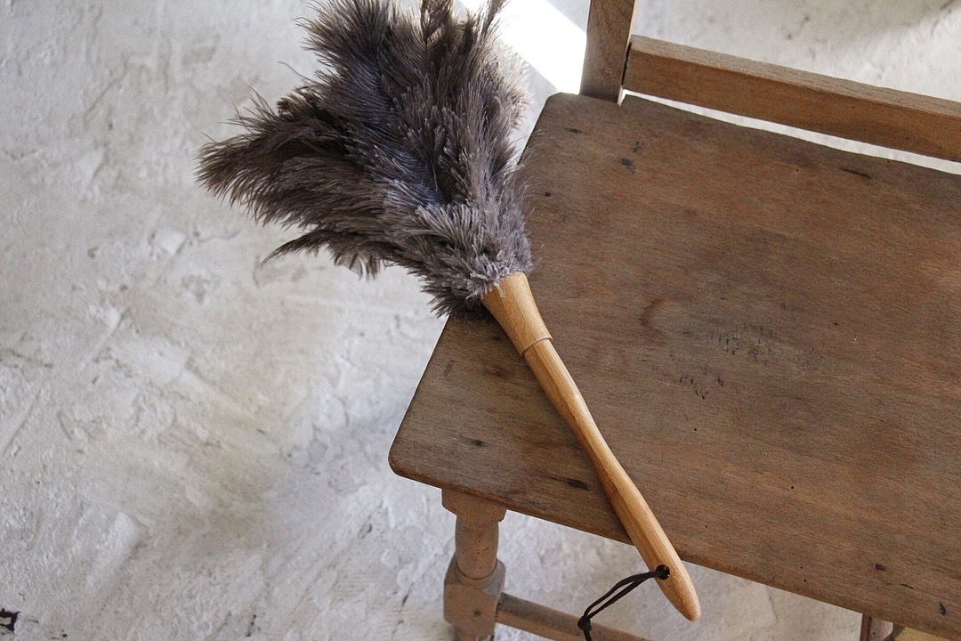 feather duster_b0165512_19294927.jpeg