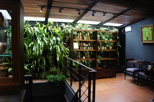 【台湾旅行記⑮ 茶芸館 回留】_f0215714_16313300.jpg