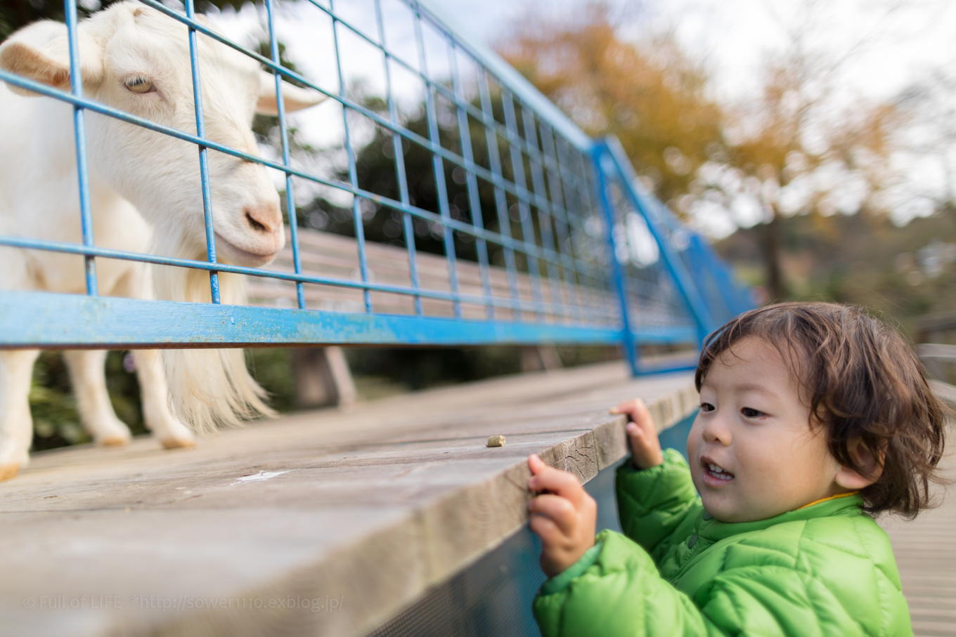 Country Farm Tokyo German Village　- The latter part_c0369219_22132354.jpg