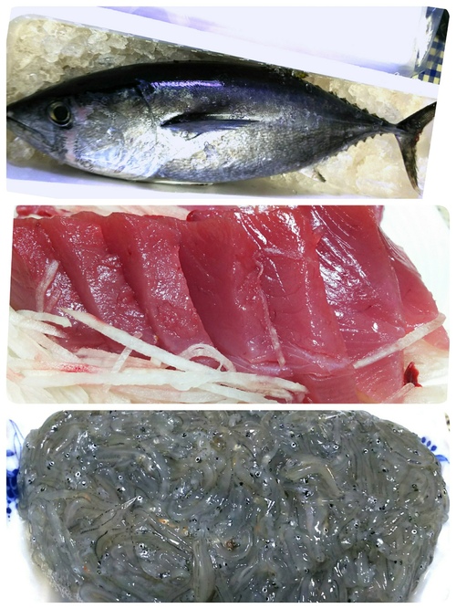 ドロメ 海央 海と船と釣りと