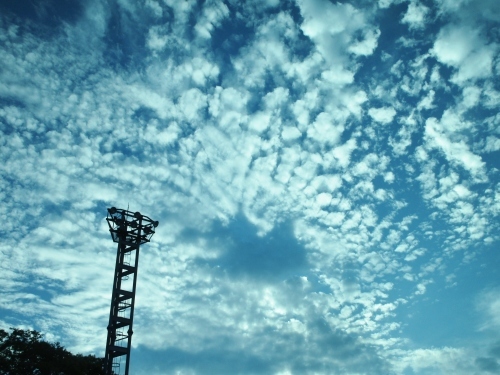 a0345833_22375818.jpg
