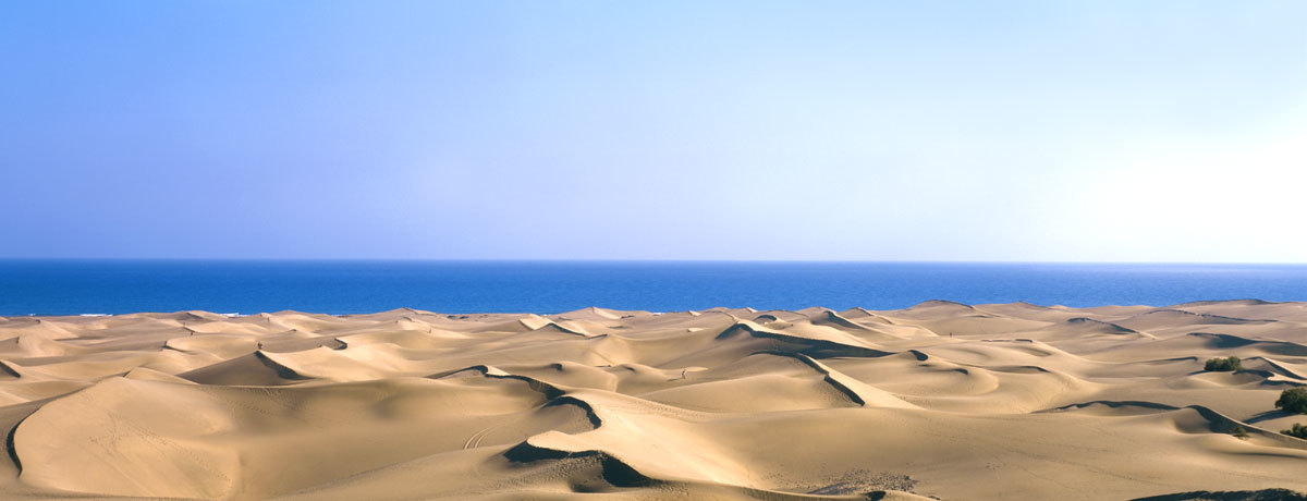 d0170835_17395837.jpg