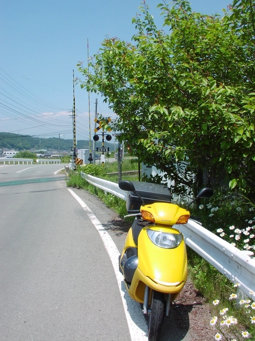 c0281841_15485156.jpg