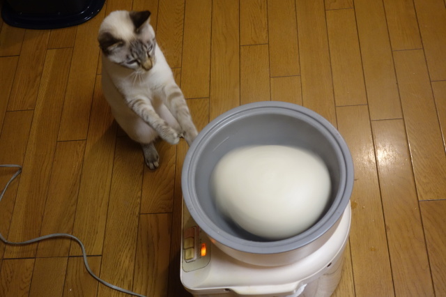 乾物屋で正月準備のお買い物 糸巻きパレットガーデン