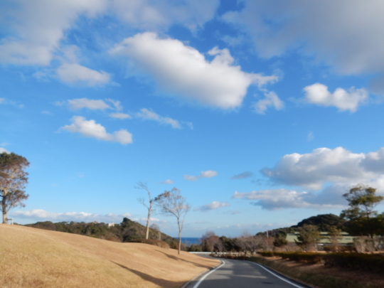 ’17,12,27(水)今度の旅のこと!_f0060461_11020406.jpg