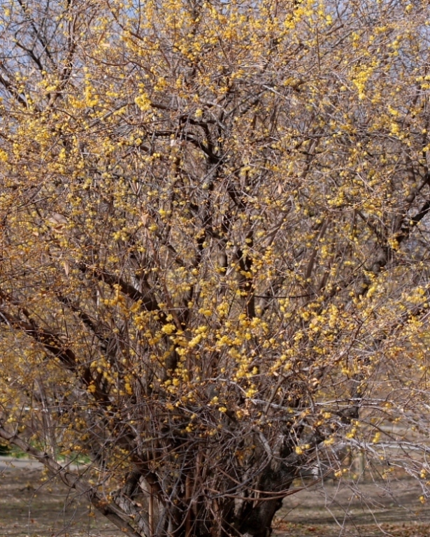 c0305565_17354723.jpg