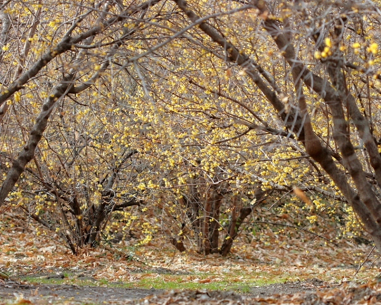 c0305565_17361484.jpg