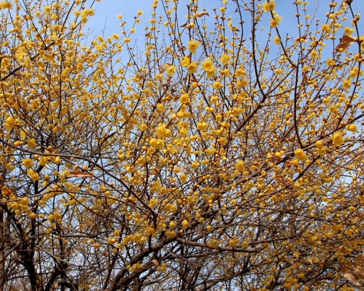 c0305565_17374008.jpg