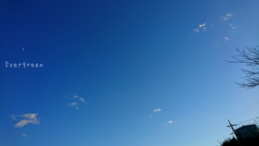 d0362666_22015014.jpg