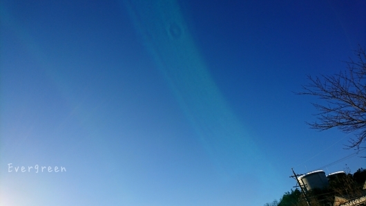 d0362666_22084815.jpg