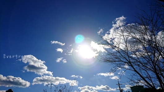 d0362666_23063108.jpg