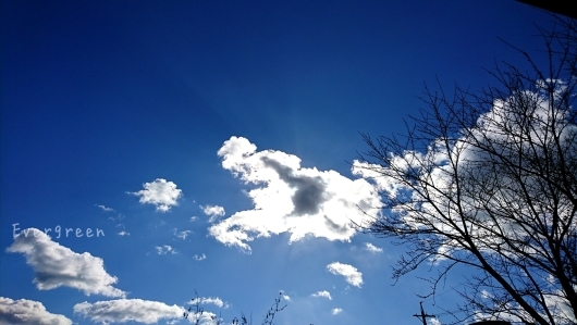 d0362666_23064596.jpg
