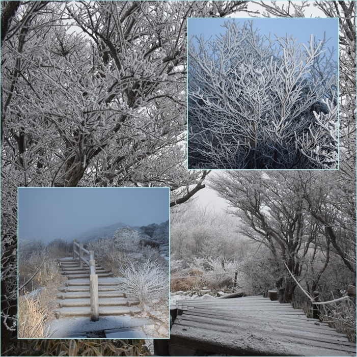 風雪の九重山・・・今年ラストの九重山登山。_f0016066_22551611.jpg