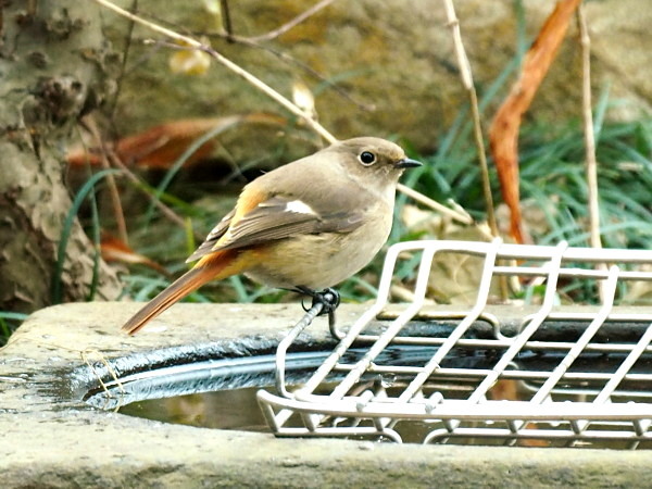 f0208666_11573418.jpg