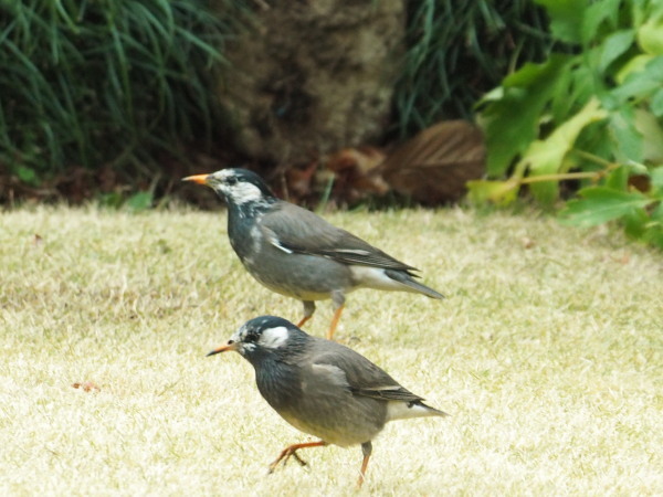 f0208666_12010649.jpg