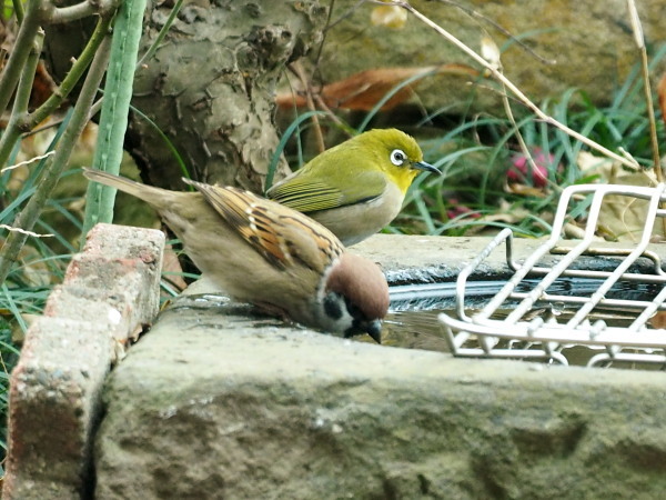 f0208666_12072454.jpg