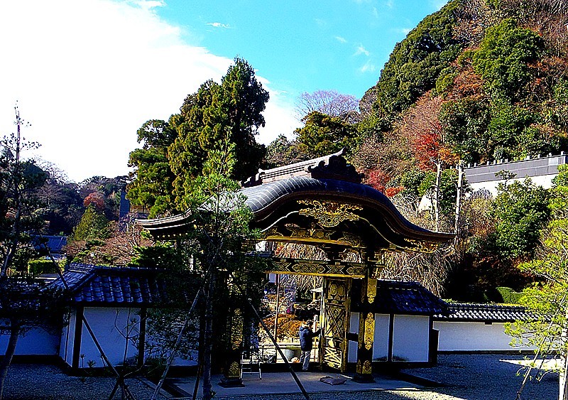 f0214467_12515222.jpg
