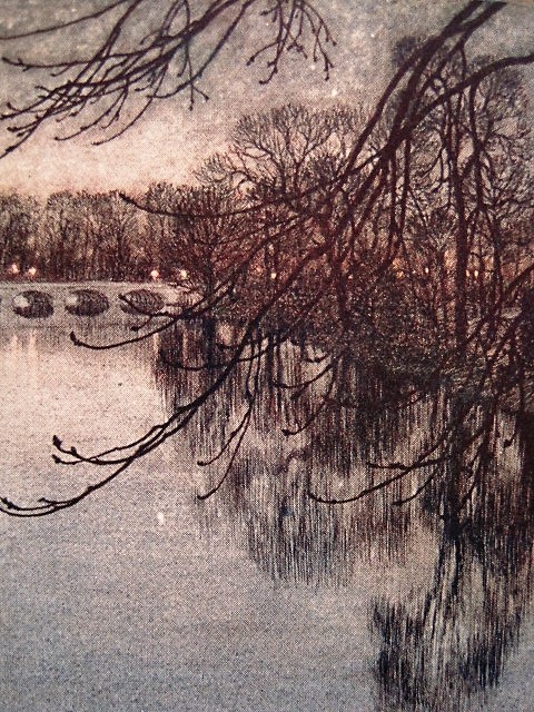 c0084183_10545956.jpg